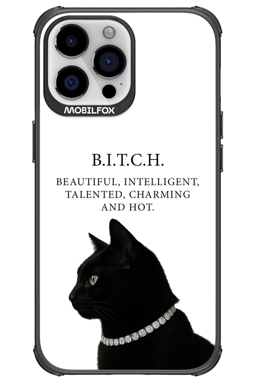 B. i. t. c. h. - Apple iPhone 13 Pro Max