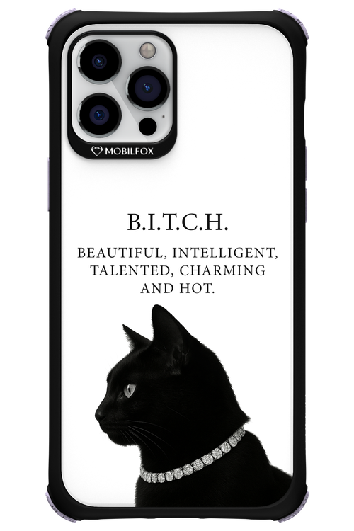 B. i. t. c. h. - Apple iPhone 12 Pro Max