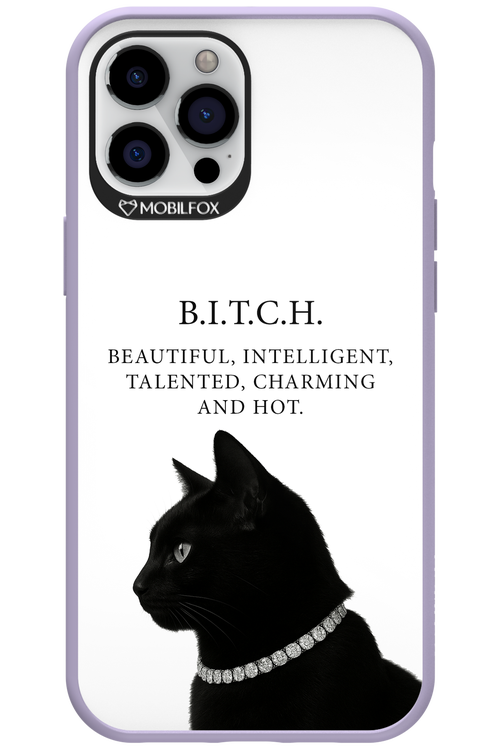 B. i. t. c. h. - Apple iPhone 12 Pro Max