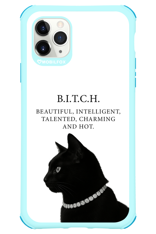 B. i. t. c. h. - Apple iPhone 11 Pro Max