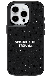 Trouble Leather - Apple iPhone 16 Pro