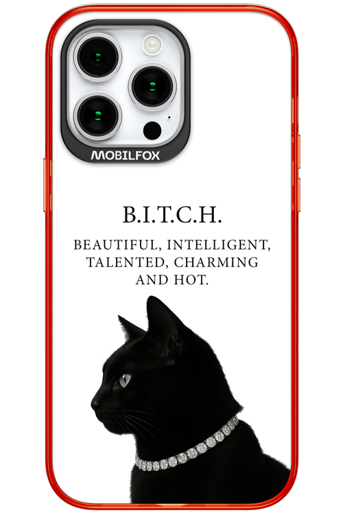 B. i. t. c. h. - Apple iPhone 15 Pro Max