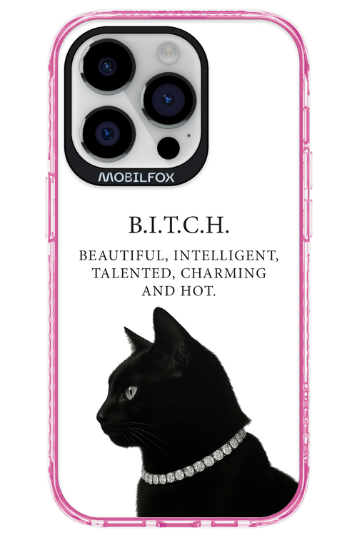 B. i. t. c. h. - Apple iPhone 14 Pro