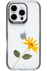 Pressed Flower - Apple iPhone 16 Pro