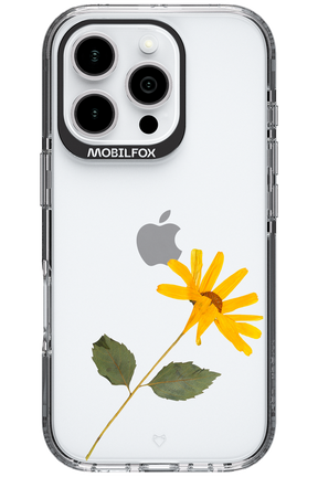 Pressed Flower - Apple iPhone 16 Pro