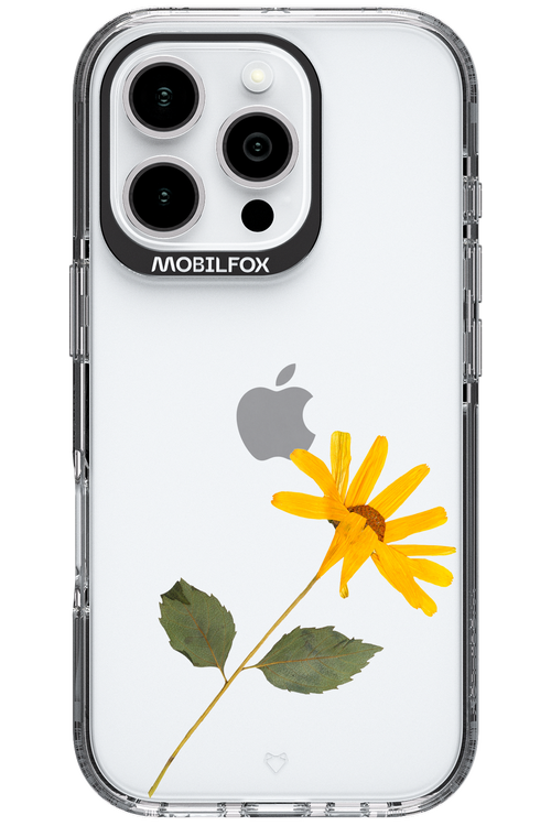 Pressed Flower - Apple iPhone 16 Pro