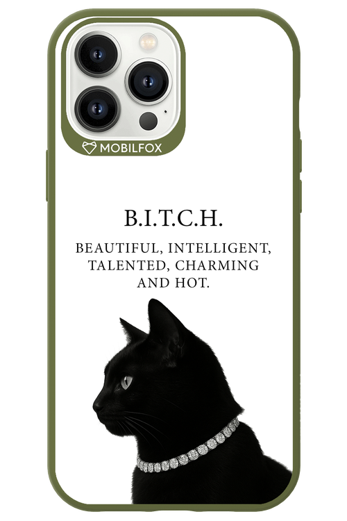 B. i. t. c. h. 2.0 - Apple iPhone 13 Pro Max