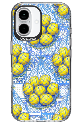 Net Style - Apple iPhone 16