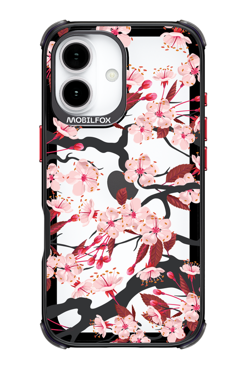 Sakura - Apple iPhone 17