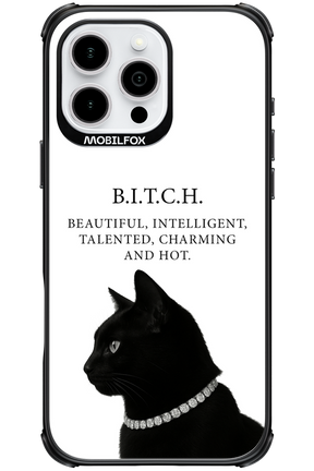 B. i. t. c. h. - Apple iPhone 16 Pro Max