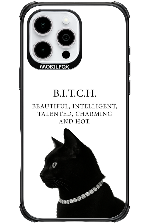 B. i. t. c. h. - Apple iPhone 16 Pro Max