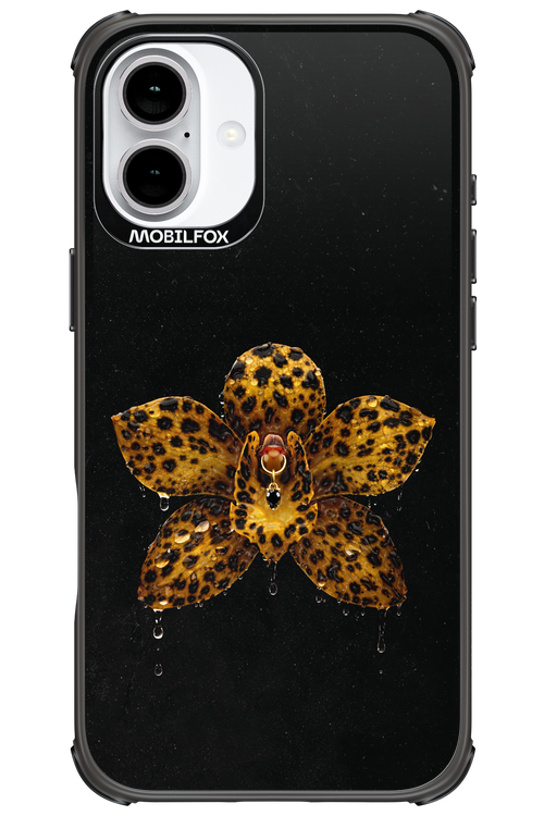 Wet & Wild 2.0 - Apple iPhone 16 Plus