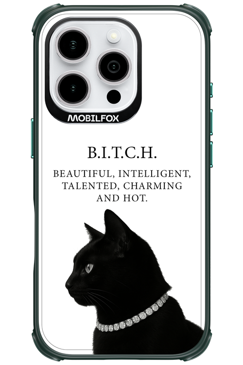 B. i. t. c. h. 2.0 - Apple iPhone 16 Pro