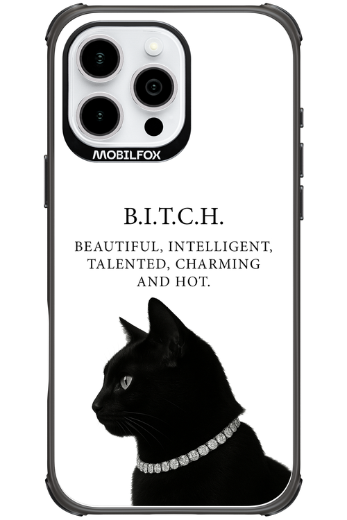 B. i. t. c. h. - Apple iPhone 16 Pro Max