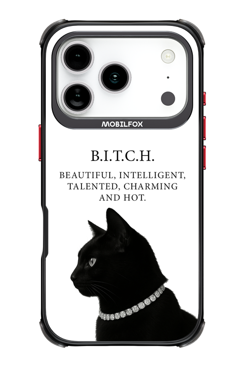 B. i. t. c. h. 2.0 - Apple iPhone 17 Pro