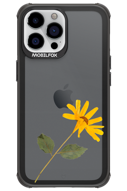 Pressed Flower - Apple iPhone 13 Pro Max