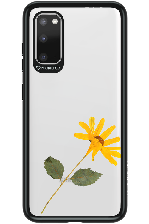 Pressed Flower - Samsung Galaxy S20