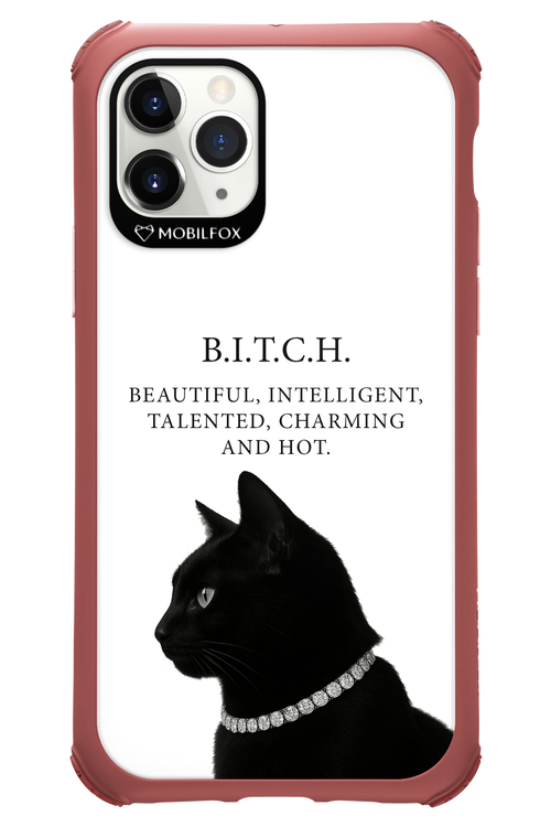 B. i. t. c. h. - Apple iPhone 11 Pro