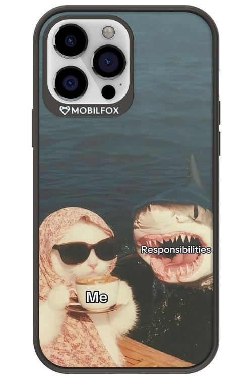 Responsibilities - Apple iPhone 13 Pro Max