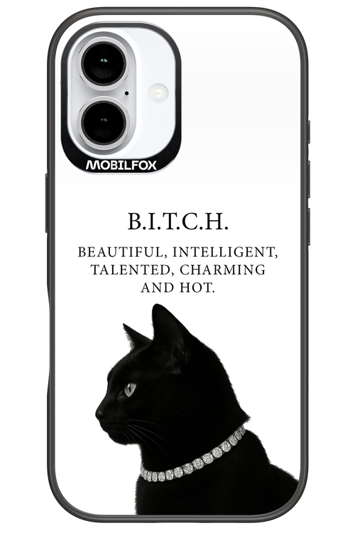 B. i. t. c. h. - Apple iPhone 16