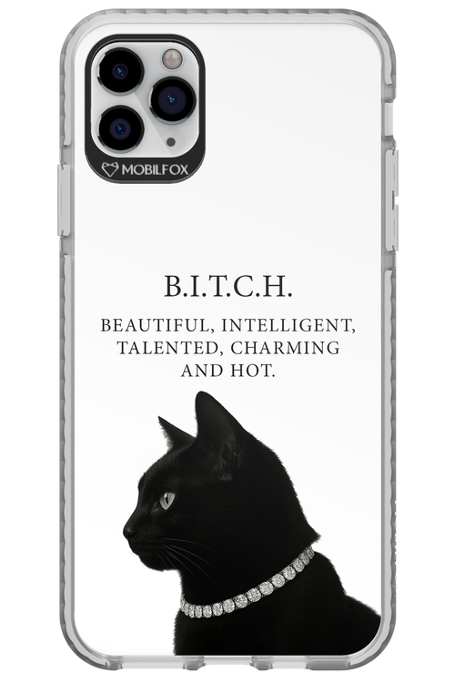 B. i. t. c. h. - Apple iPhone 11 Pro Max