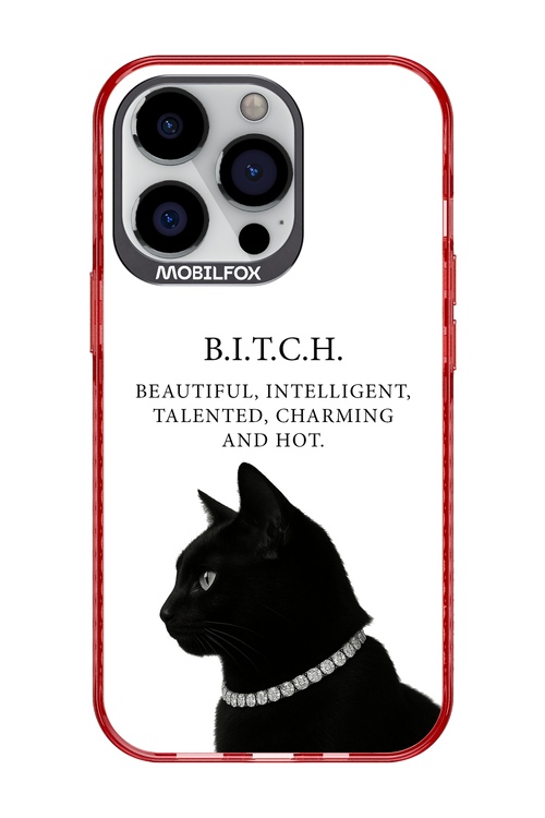 B. i. t. c. h. 2.0 - Apple iPhone 13 Pro