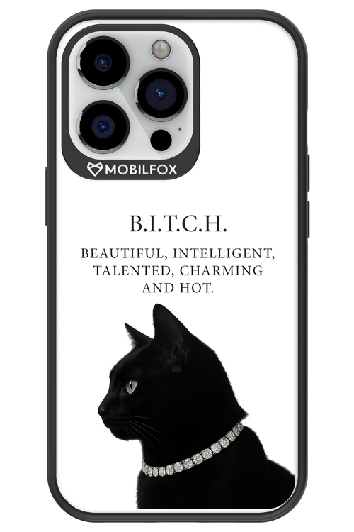 B. i. t. c. h. 2.0 - Apple iPhone 13 Pro