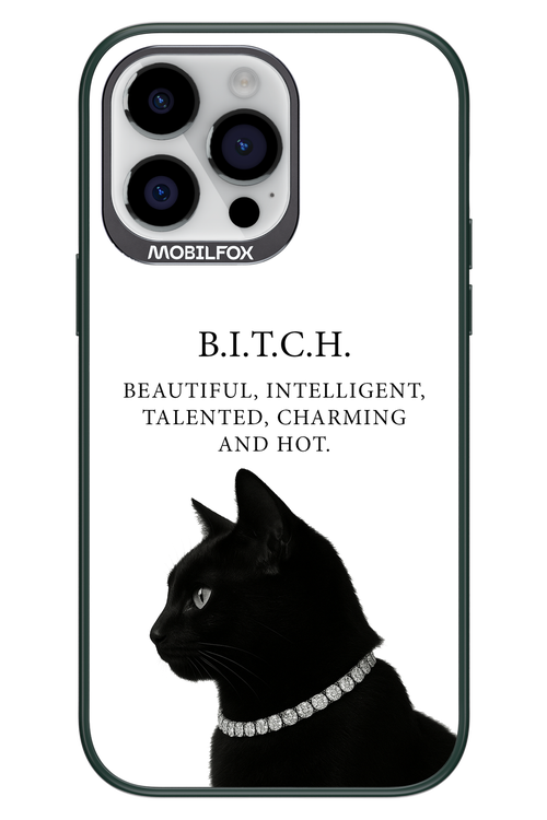 B. i. t. c. h. - Apple iPhone 14 Pro Max