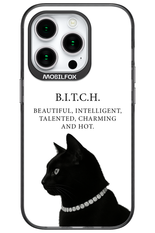 B. i. t. c. h. 2.0 - Apple iPhone 15 Pro