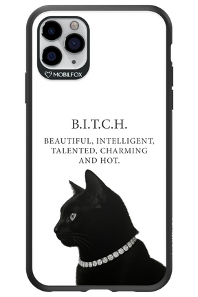 B. i. t. c. h. 2.0 - Apple iPhone 11 Pro Max
