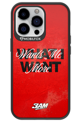 WHAT I WANT 2.0 - Apple iPhone 13 Pro