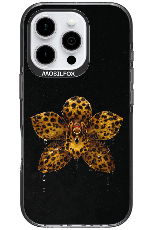 Wet & Wild 2.0 - Apple iPhone 16 Pro