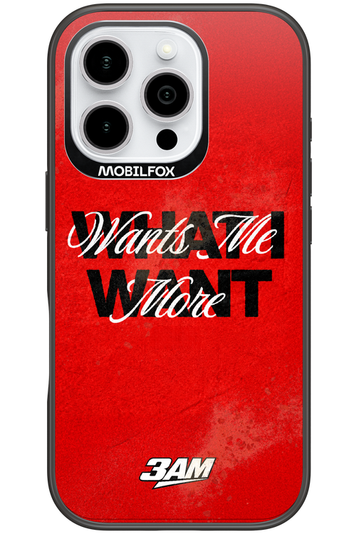 WHAT I WANT 2.0 - Apple iPhone 16 Pro