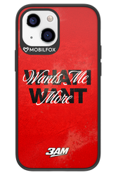 WHAT I WANT 2.0 - Apple iPhone 13 Mini